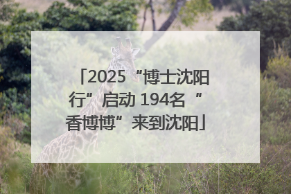 2025“博士沈阳行”启动 194名“香博博”来到沈阳