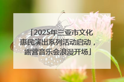 2025年三亚市文化惠民演出系列活动启动，露营音乐会浪漫开场
