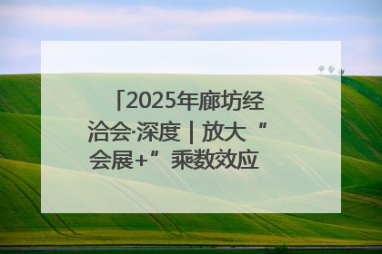 2025年廊坊经洽会·深度｜放大“会展+”乘数效应 打造消费新场景