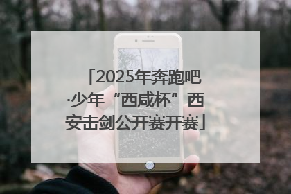 2025年奔跑吧·少年“西咸杯”西安击剑公开赛开赛