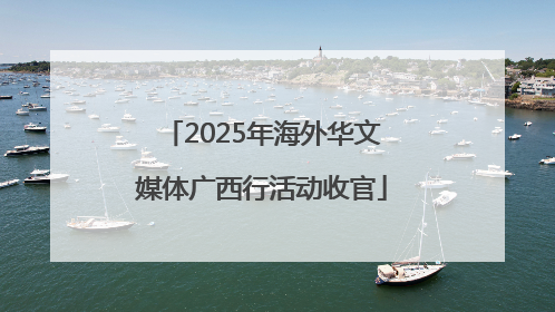 2025年海外华文媒体广西行活动收官
