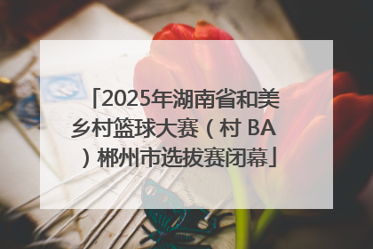2025年湖南省和美乡村篮球大赛（村 BA）郴州市选拔赛闭幕