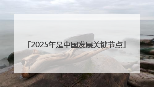 2025年是中国发展关键节点