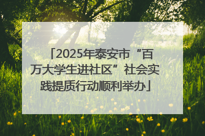 2025年泰安市“百万大学生进社区”社会实践提质行动顺利举办