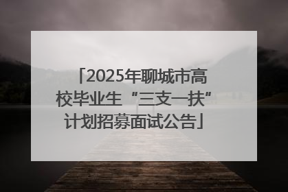 2025年聊城市高校毕业生“三支一扶”计划招募面试公告