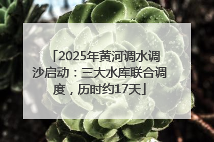 2025年黄河调水调沙启动：三大水库联合调度，历时约17天