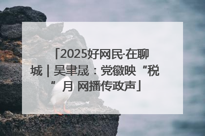 2025好网民·在聊城｜吴聿晟：党徽映“税”月 网播传政声