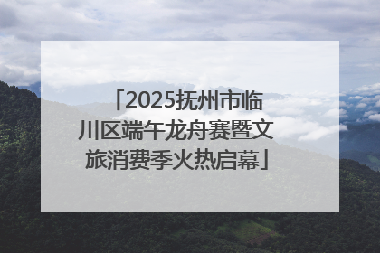 2025抚州市临川区端午龙舟赛暨文旅消费季火热启幕
