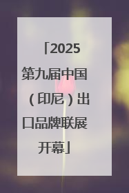 2025第九届中国（印尼）出口品牌联展开幕