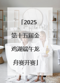 2025第十五届金鸡湖端午龙舟赛开赛