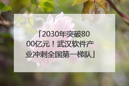 2030年突破8000亿元！武汉软件产业冲刺全国第一梯队