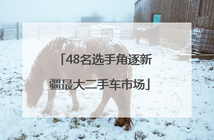 48名选手角逐新疆最大二手车市场