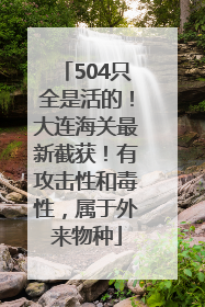 504只全是活的！大连海关最新截获！有攻击性和毒性，属于外来物种