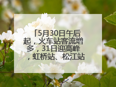 5月30日午后起，火车站客流增多，31日迎高峰，虹桥站、松江站有儿童节和端午亲子活动