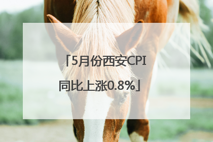 5月份西安CPI同比上涨0.8%