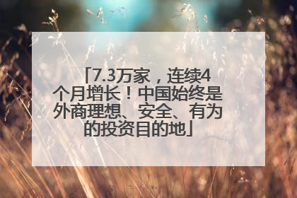 7.3万家，连续4个月增长！中国始终是外商理想、安全、有为的投资目的地