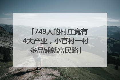 749人的村庄竟有4大产业，小官村一村多品铺就富民路