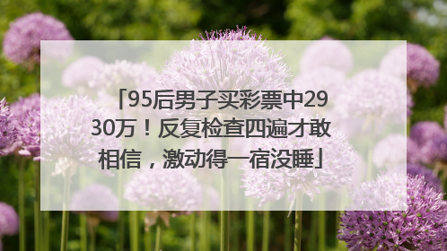 95后男子买彩票中2930万！反复检查四遍才敢相信，激动得一宿没睡