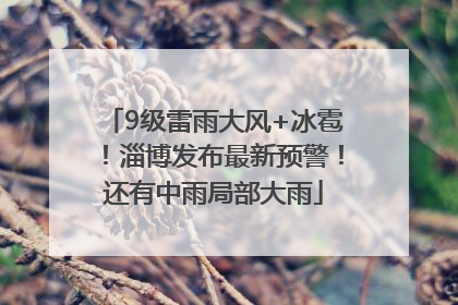 9级雷雨大风+冰雹！淄博发布最新预警！还有中雨局部大雨