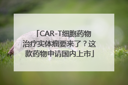 CAR-T细胞药物治疗实体瘤要来了？这款药物申请国内上市
