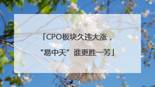 CPO板块久违大涨，“易中天”谁更胜一筹