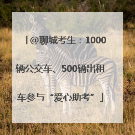 @聊城考生：1000辆公交车、500辆出租车参与“爱心助考”