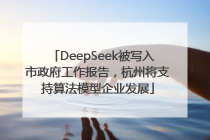 DeepSeek被写入市政府工作报告，杭州将支持算法模型企业发展