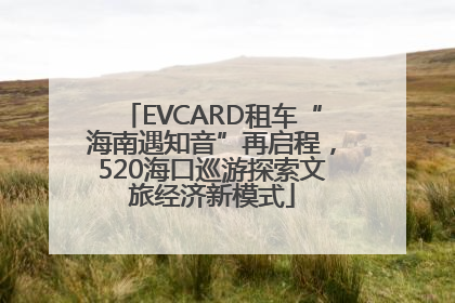 EVCARD租车“海南遇知音”再启程，520海口巡游探索文旅经济新模式