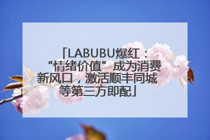 LABUBU爆红：“情绪价值”成为消费新风口，激活顺丰同城等第三方即配