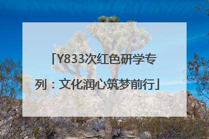 Y833次红色研学专列：文化润心筑梦前行
